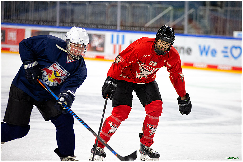PENNY DEL; Koelner Haie- Red BUll Muenchen Sponsorenspiel; Koeln, 08.11.2022